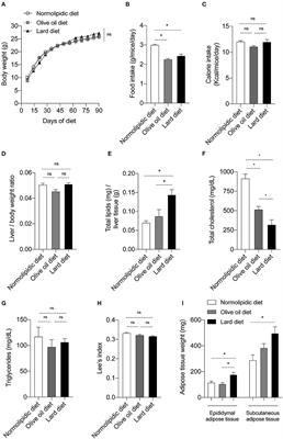 Diet Rich in Lard Promotes a Metabolic Environment Favorable to Trypanosoma cruzi Growth